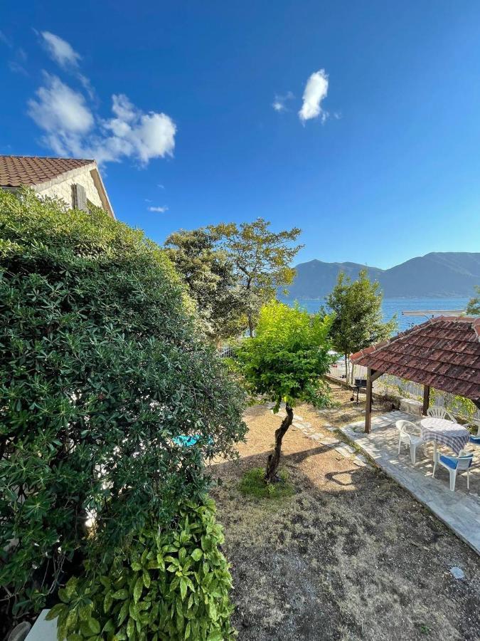 Lemon Tree Villa Kotor Exteriör bild
