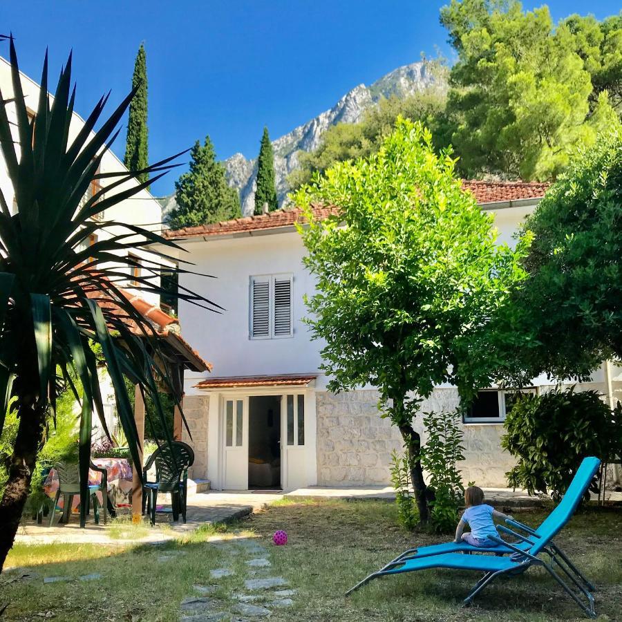 Lemon Tree Villa Kotor Exteriör bild