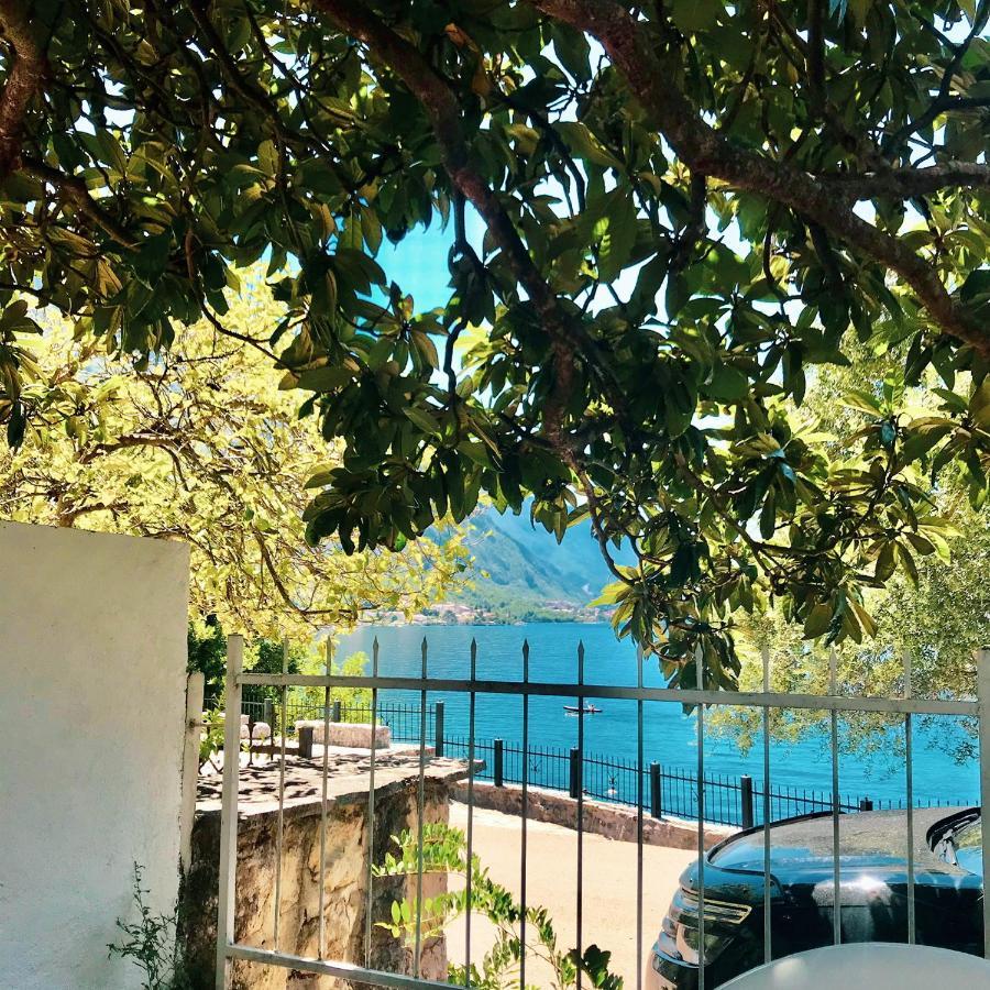 Lemon Tree Villa Kotor Exteriör bild