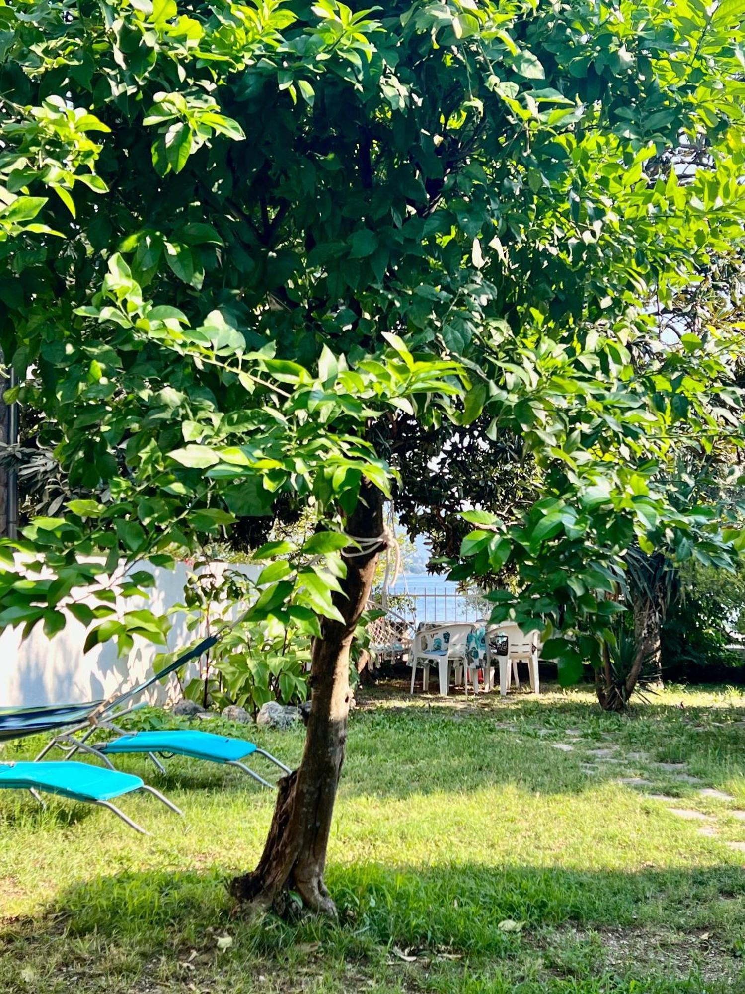 Lemon Tree Villa Kotor Exteriör bild