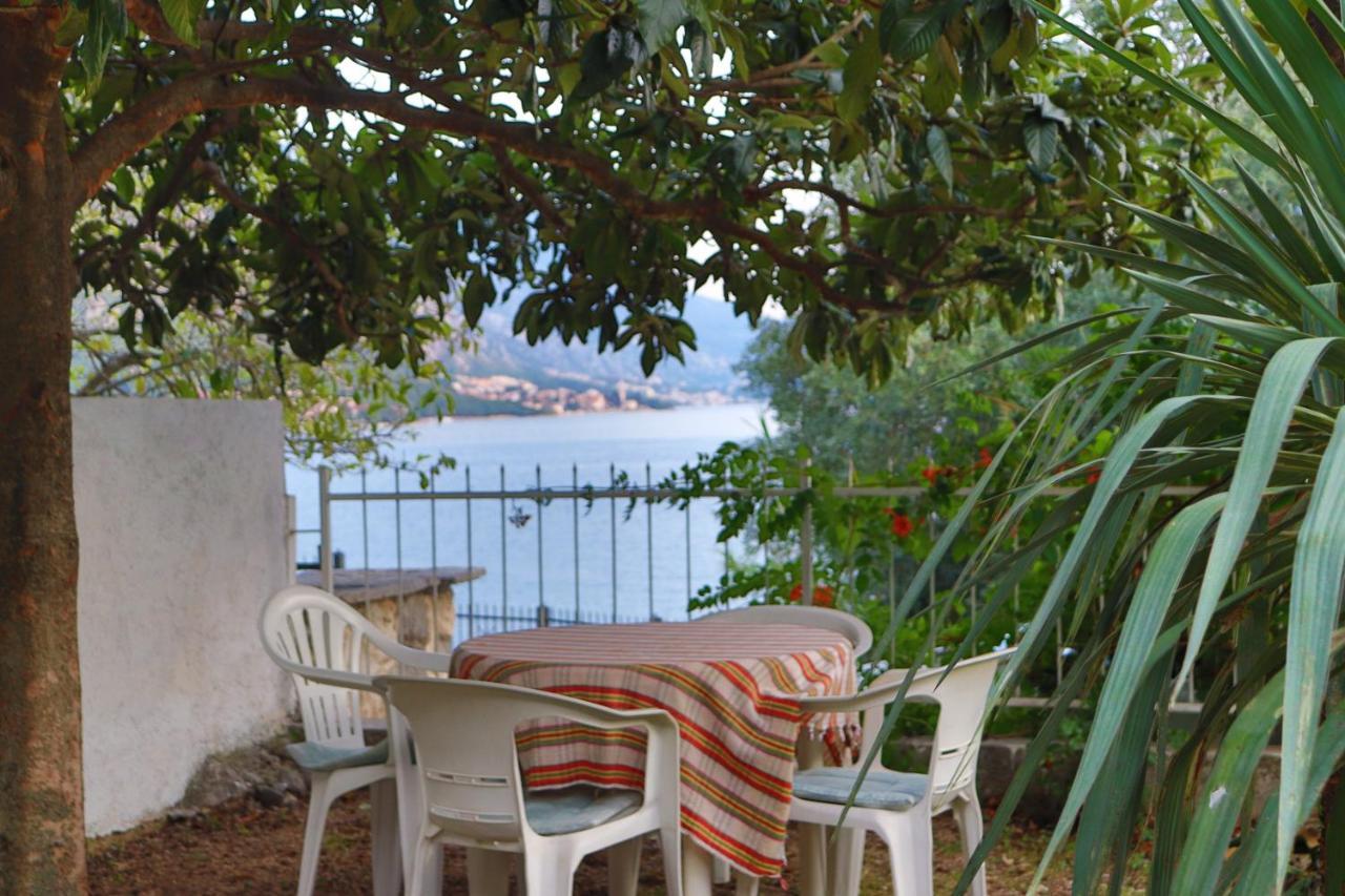 Lemon Tree Villa Kotor Exteriör bild